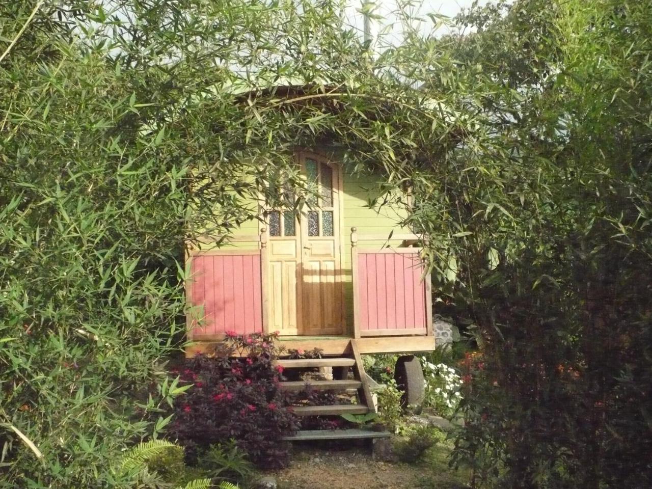 Hosteria La Roulotte - Mindo Dış mekan fotoğraf